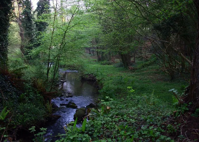 La Ferme Des Daims