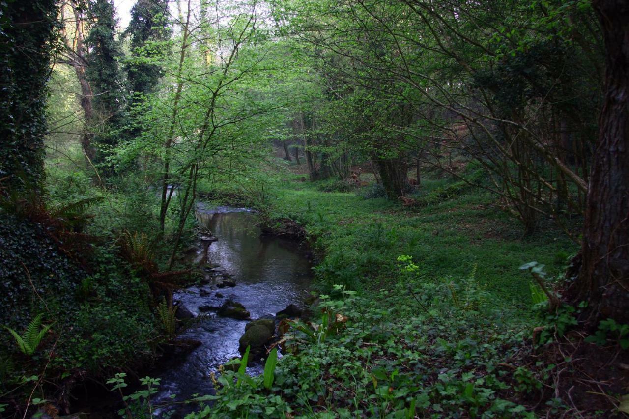 La Ferme Des Daims Holiday home Saint-Quay-Perros