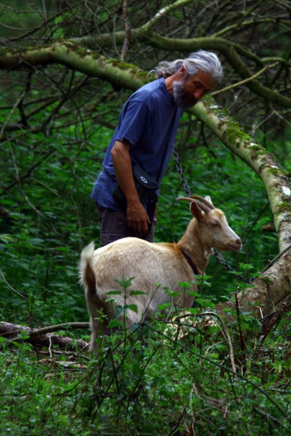 La Ferme Des Daims *